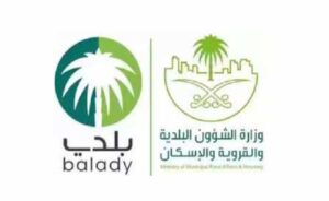 Artboard 2 copy 4-20